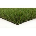 Sgw Everlast SGW Everlast EVERFES825X10 Everglade Fescue Pro 120 x 60 x 1.88 in. Artificial Turf EVERFES825X10